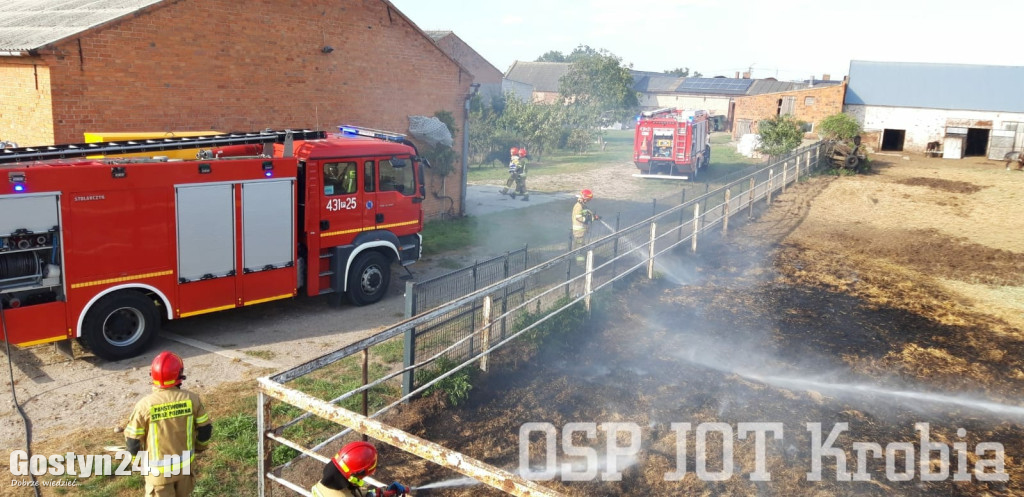 Pożar na wybiegu dla koni w Potarzycy