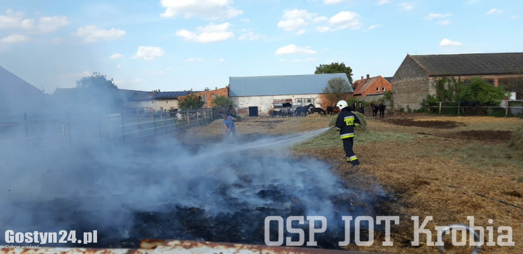 Pożar na wybiegu dla koni w Potarzycy