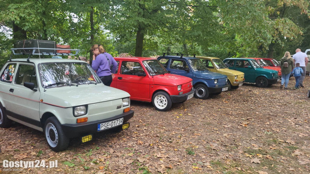 Zlot klasyków w parku przy zamku w Rokosowie