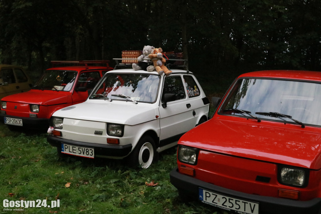 Zlot klasyków w parku przy zamku w Rokosowie