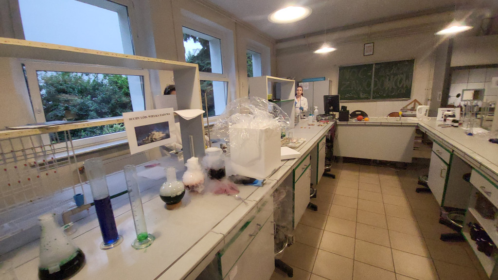 Noc Zawodowców w ZSR w Grabonogu