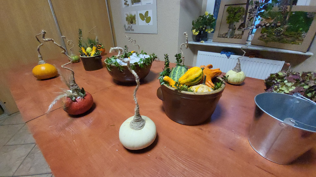 Noc Zawodowców w ZSR w Grabonogu