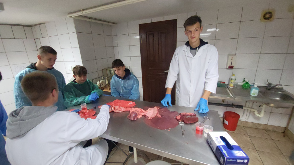 Noc Zawodowców w ZSR w Grabonogu