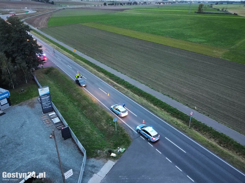 Poranne potrącenie na DW 434 w Krajewicach