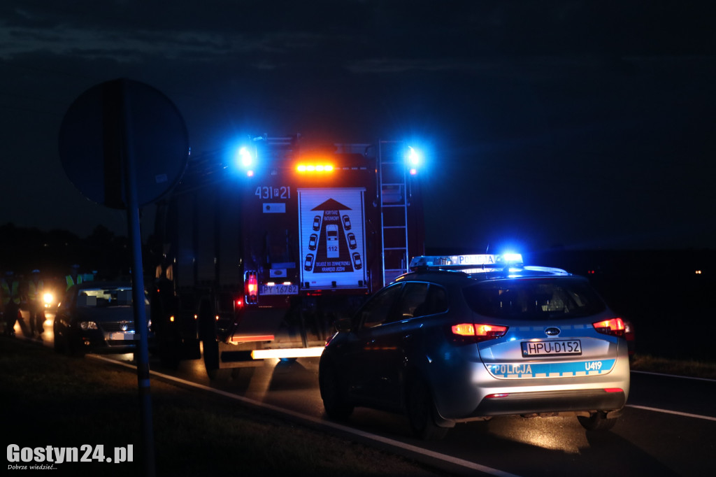 Poranne potrącenie na DW 434 w Krajewicach