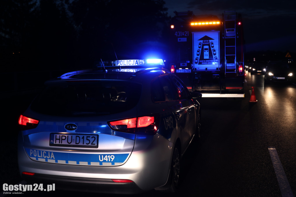 Poranne potrącenie na DW 434 w Krajewicach