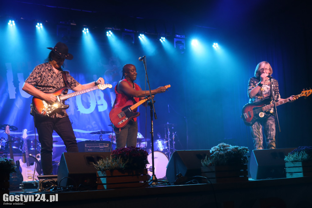 Festiwal Blues nad Obrą w Piaskach