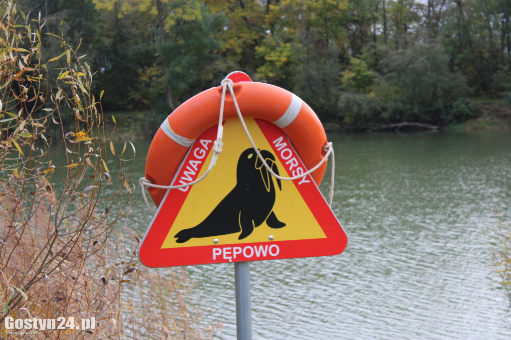 Robią to nie tylko dla zdrowia. Dziś rozpoczęli sezon