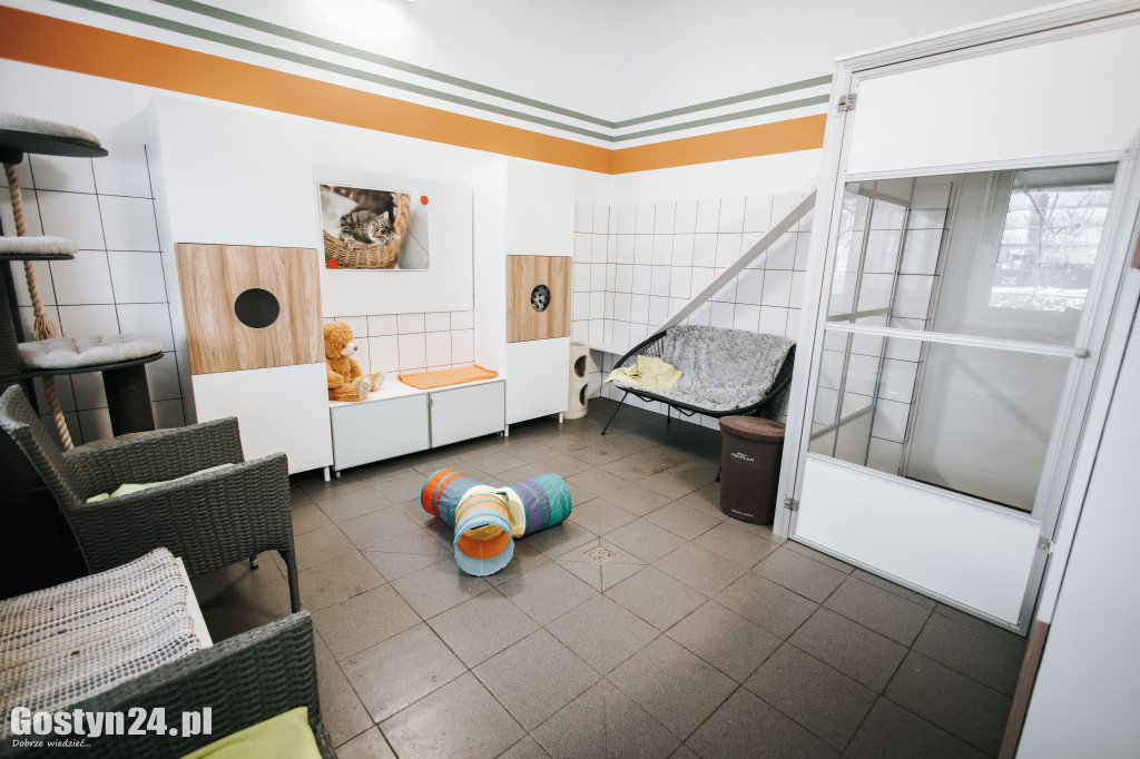 Mikołajki w Schronisku w Dalabuszkach