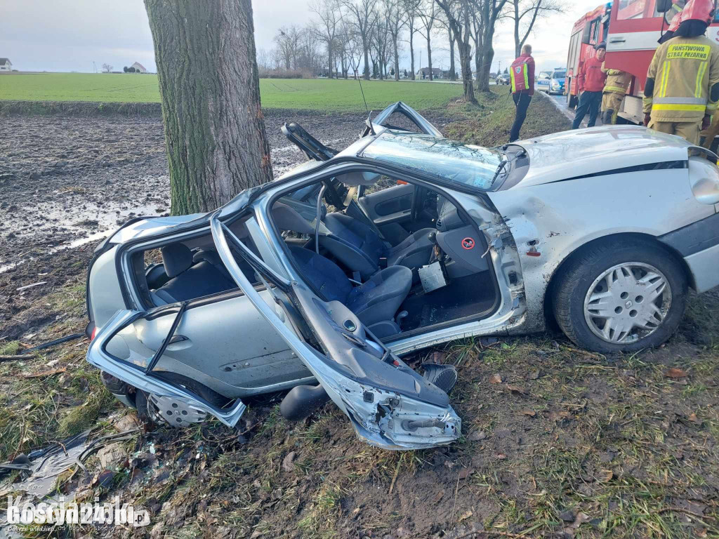 Samochód uderzył w drzewo. Poważnie ranny 41-latek