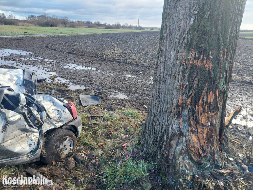 Samochód uderzył w drzewo. Poważnie ranny 41-latek