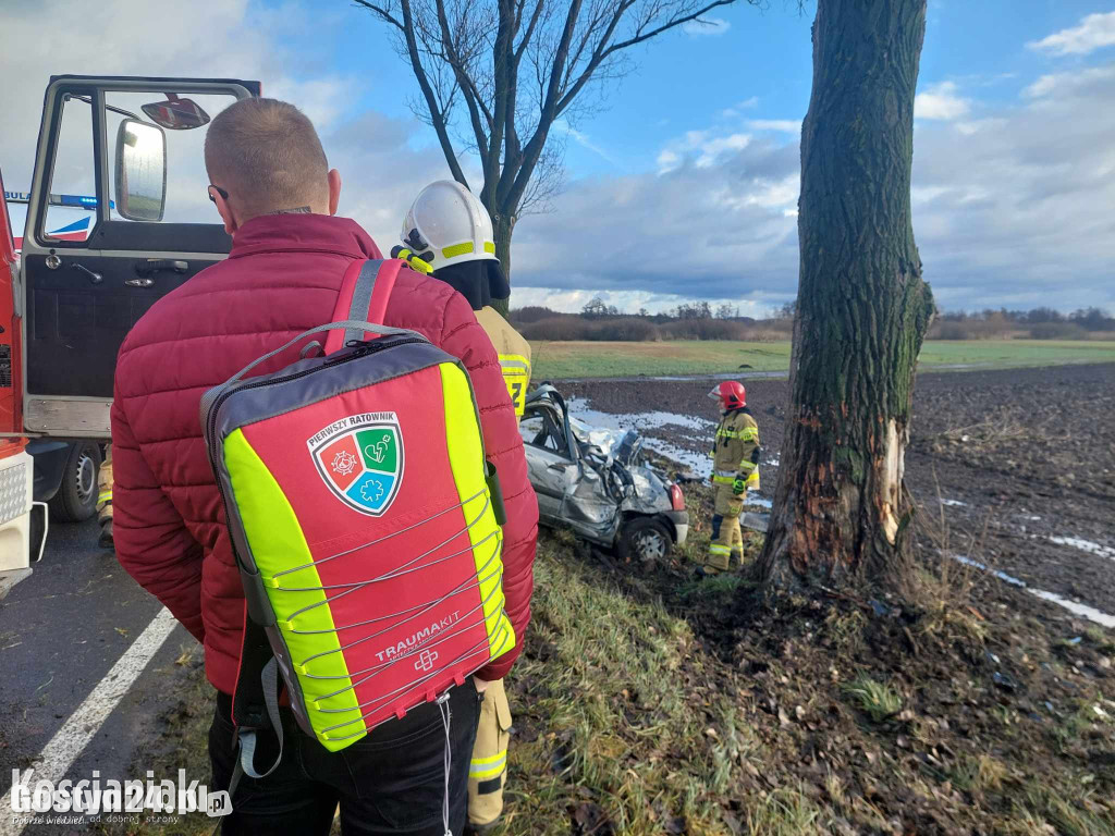 Samochód uderzył w drzewo. Poważnie ranny 41-latek