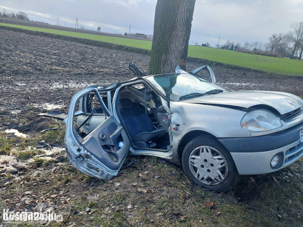 Samochód uderzył w drzewo. Poważnie ranny 41-latek