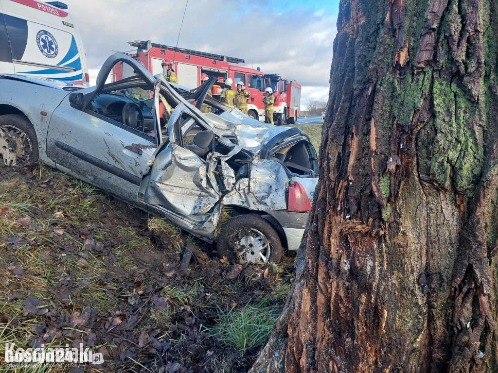 Samochód uderzył w drzewo. Poważnie ranny 41-latek