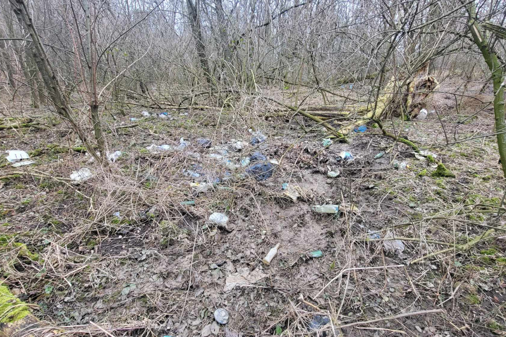 Śmieci wyrzucone pomiędzy Gostyniem a Bogusławkami