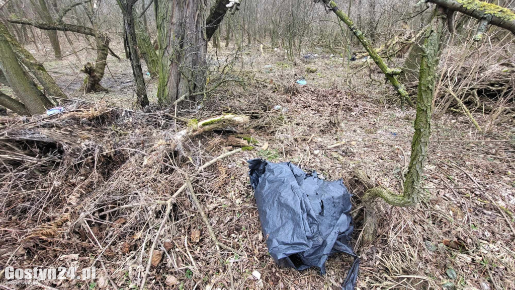 Śmieci wyrzucone pomiędzy Gostyniem a Bogusławkami