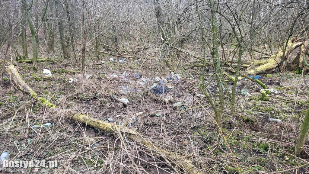 Śmieci wyrzucone pomiędzy Gostyniem a Bogusławkami
