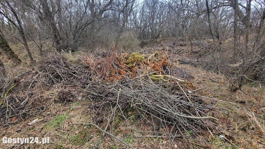 Śmieci wyrzucone pomiędzy Gostyniem a Bogusławkami