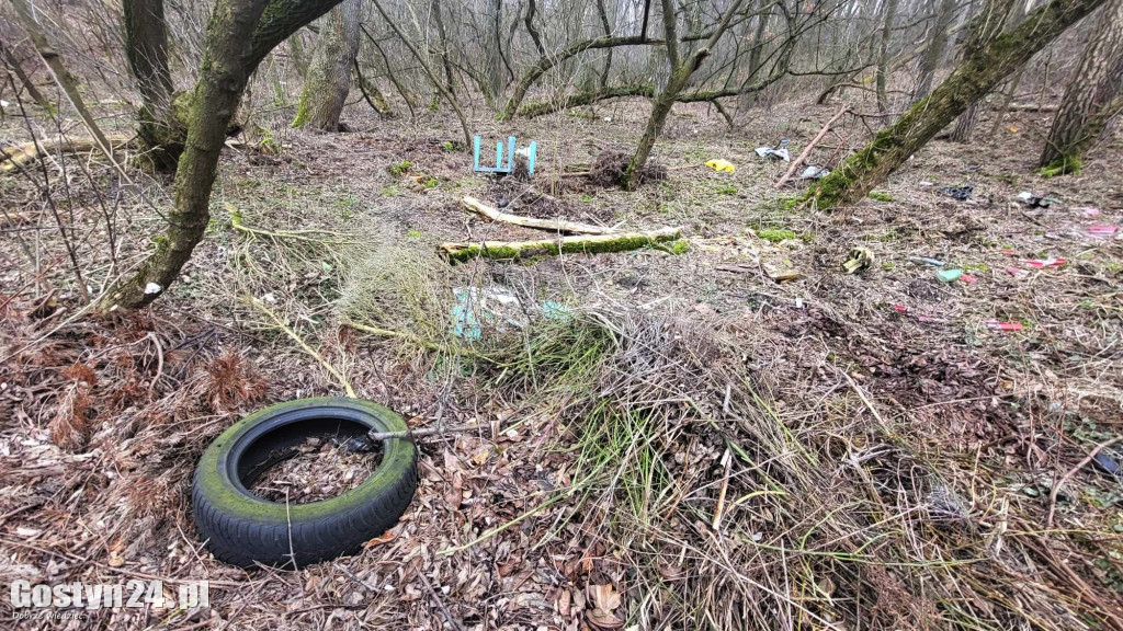 Śmieci wyrzucone pomiędzy Gostyniem a Bogusławkami