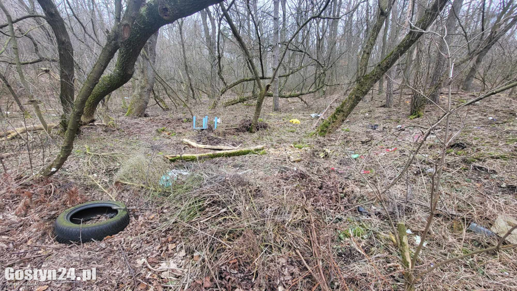 Śmieci wyrzucone pomiędzy Gostyniem a Bogusławkami