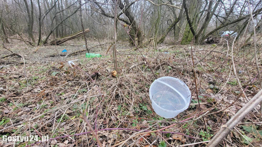 Śmieci wyrzucone pomiędzy Gostyniem a Bogusławkami