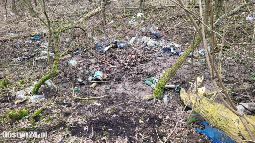 Śmieci wyrzucone pomiędzy Gostyniem a Bogusławkami