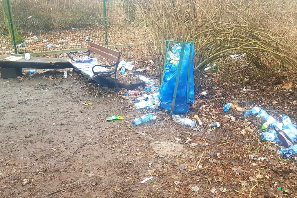 Park przy pałacu w Karolewie