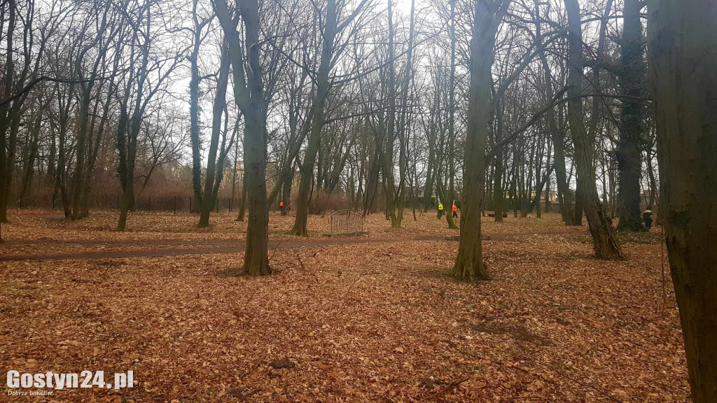 Park przy pałacu w Karolewie