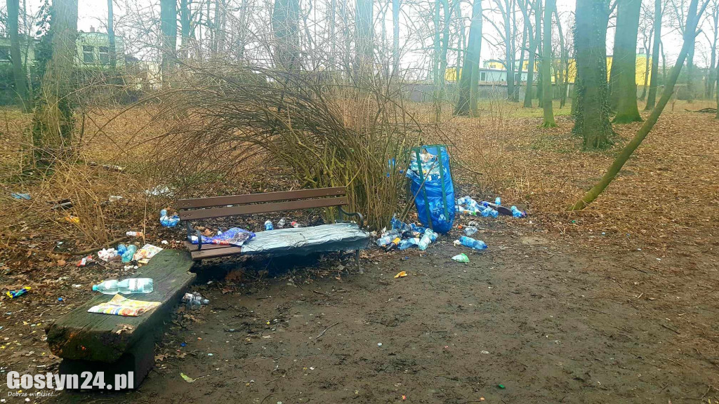 Park przy pałacu w Karolewie