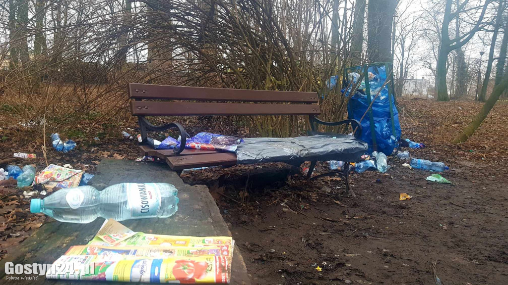 Park przy pałacu w Karolewie