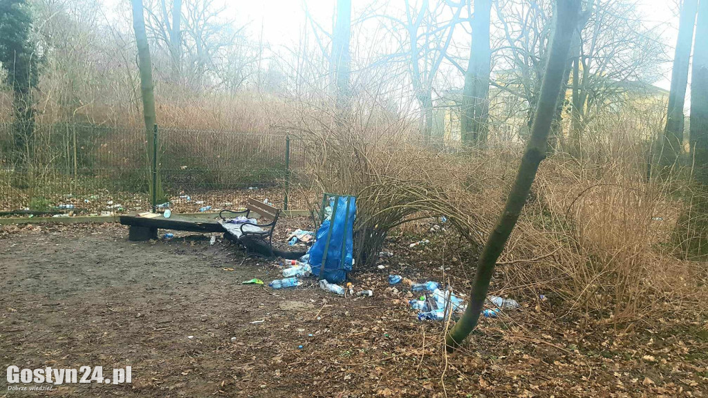 Park przy pałacu w Karolewie