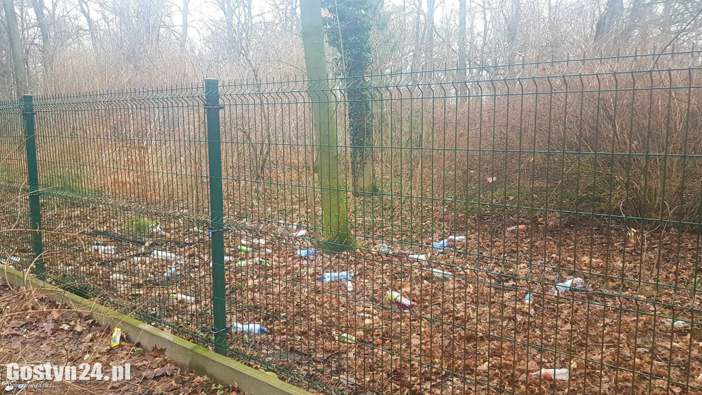 Park przy pałacu w Karolewie