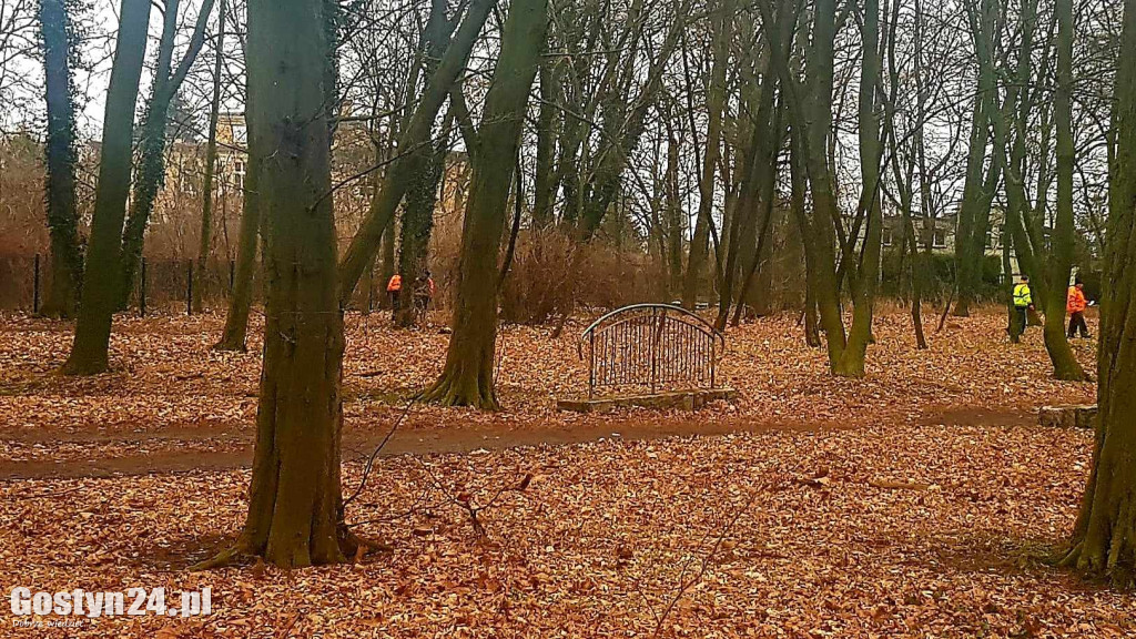 Park przy pałacu w Karolewie