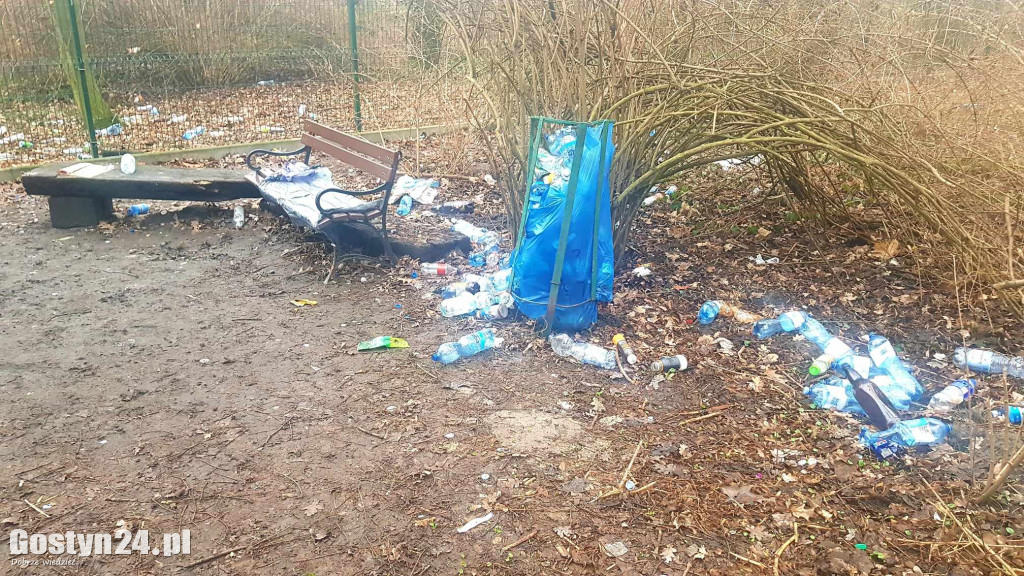Park przy pałacu w Karolewie