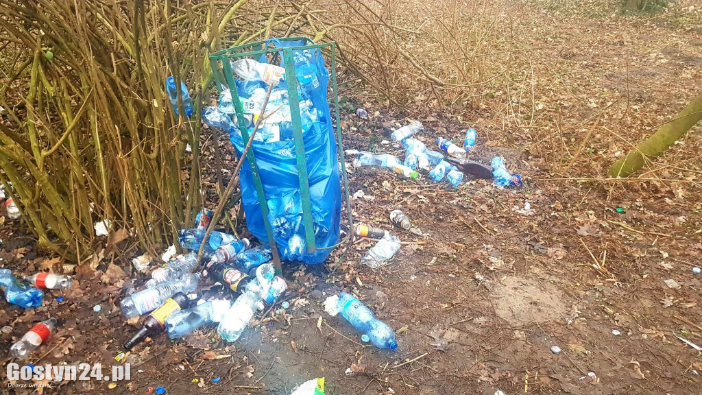 Park przy pałacu w Karolewie