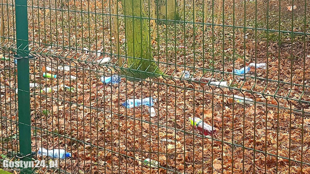 Park przy pałacu w Karolewie
