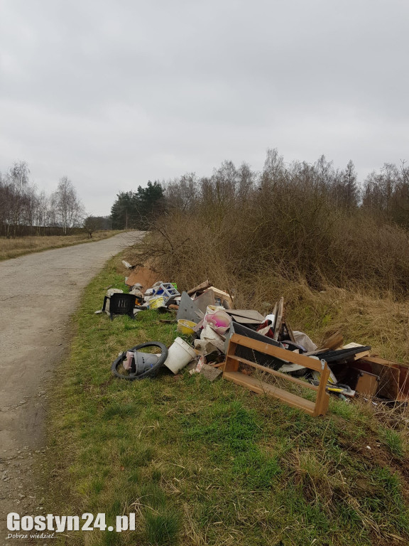 Śmieci wyrzucone przy trasie Skoków-Skokówko