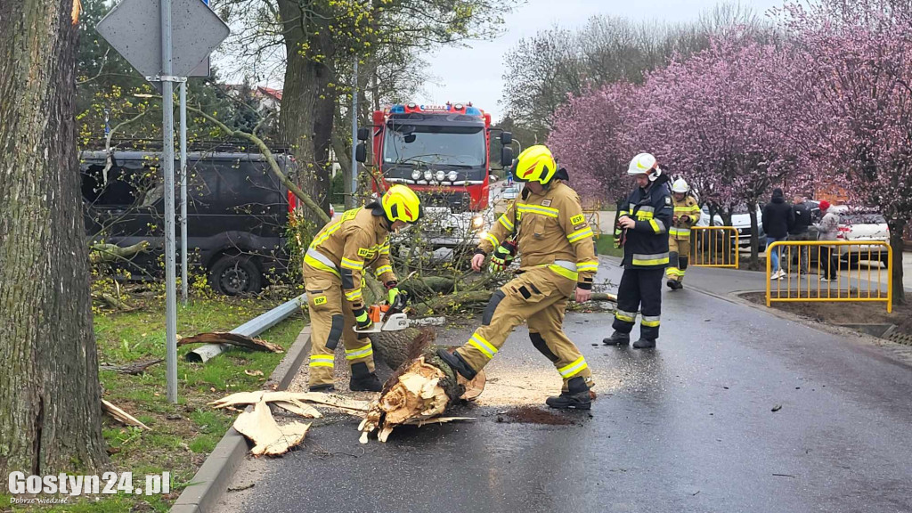 Potężna gałąź runęła na drogę w Piaskach