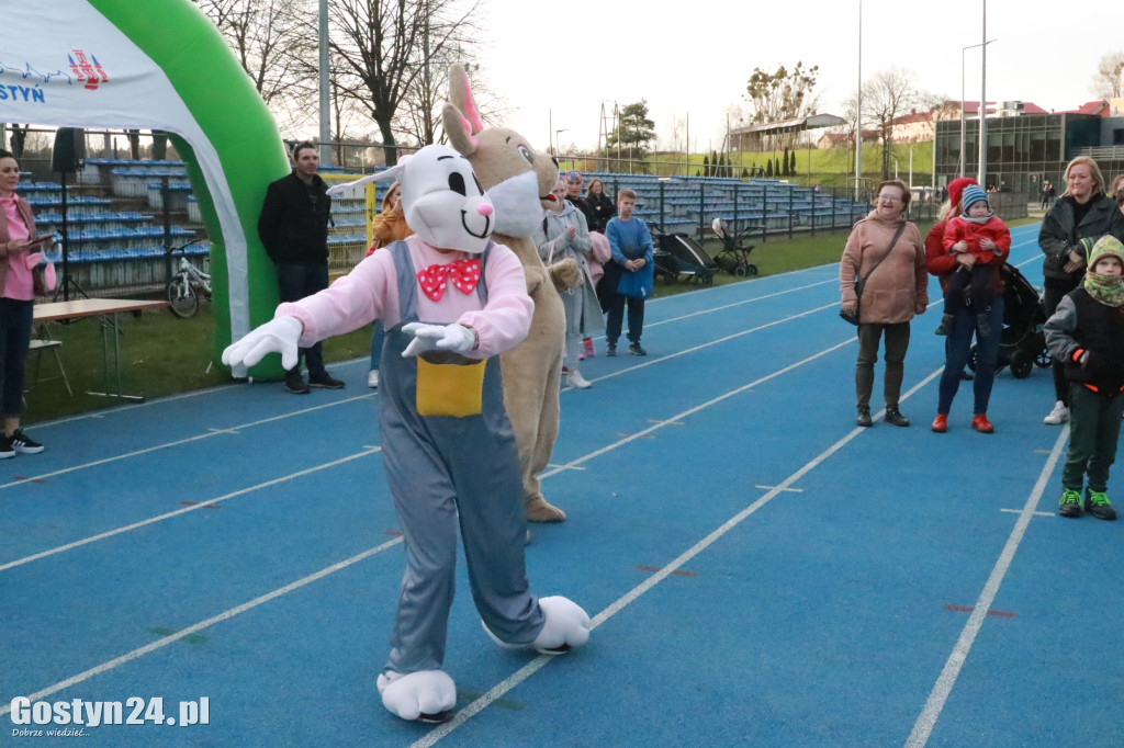 II Bieg Zająca na gostyńskim stadionie