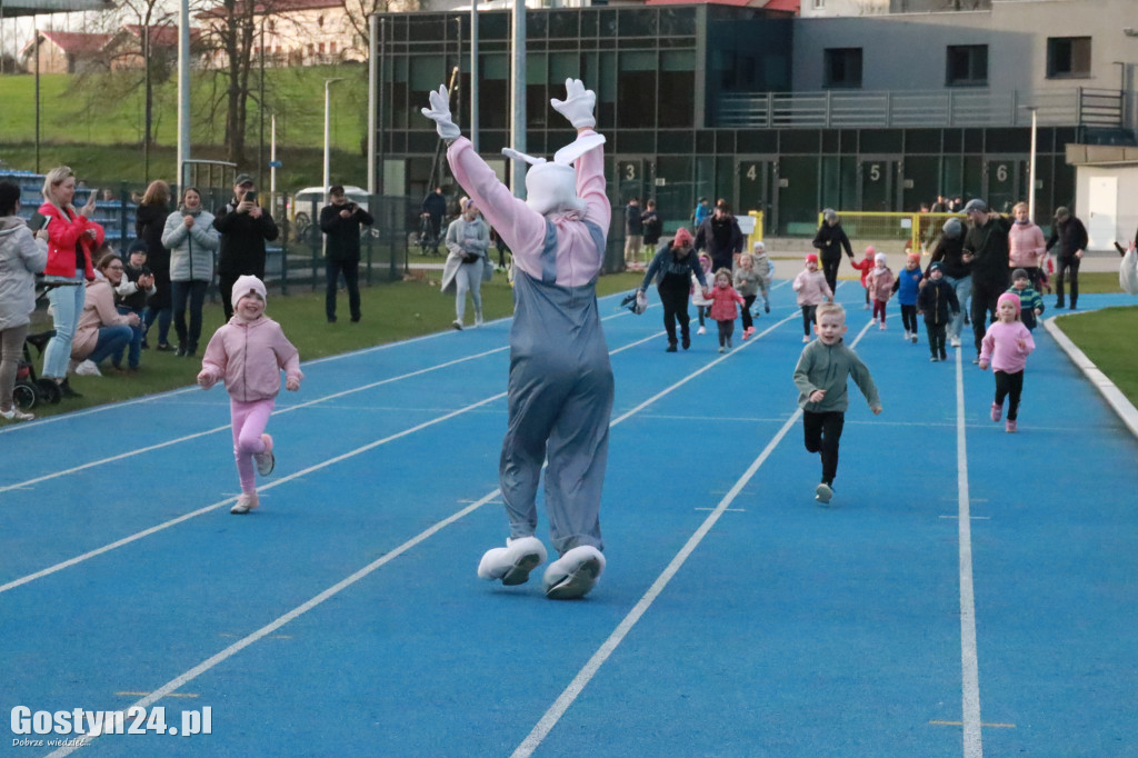 II Bieg Zająca na gostyńskim stadionie