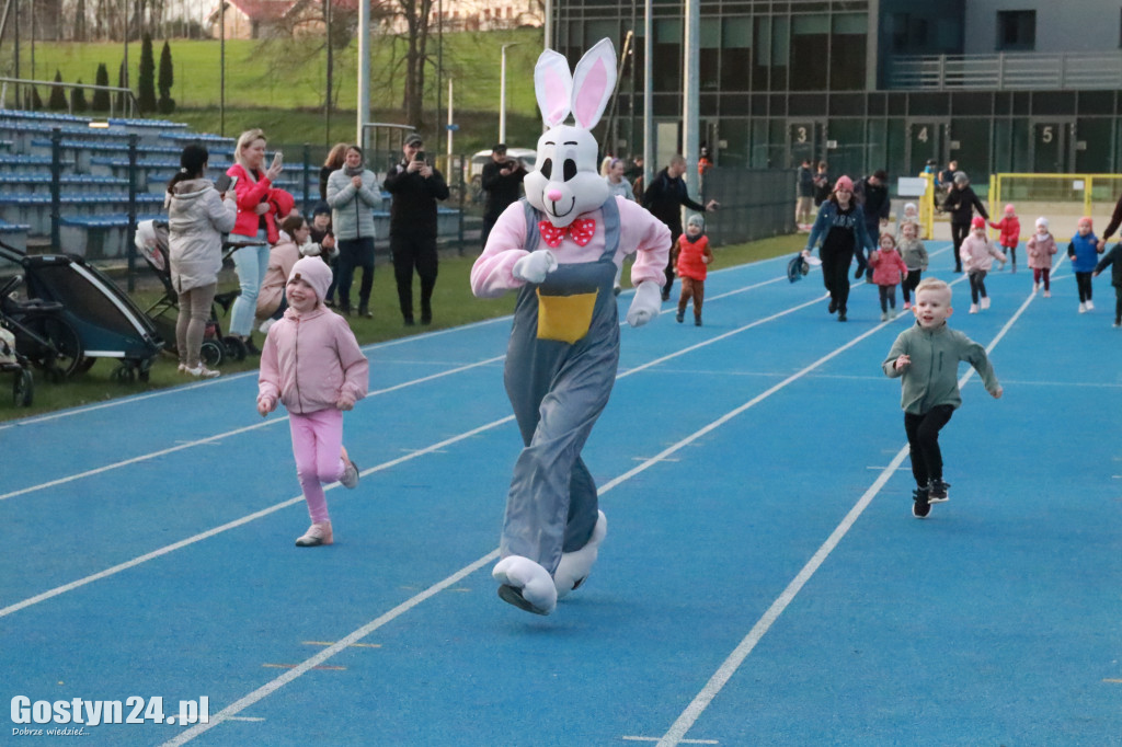 II Bieg Zająca na gostyńskim stadionie