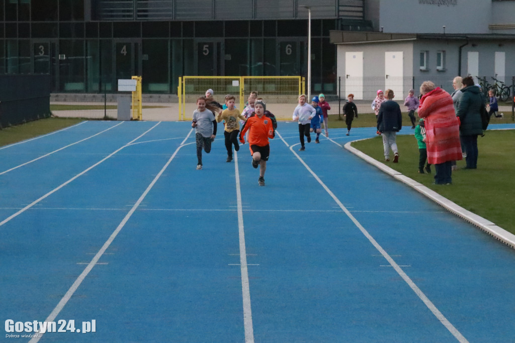 II Bieg Zająca na gostyńskim stadionie