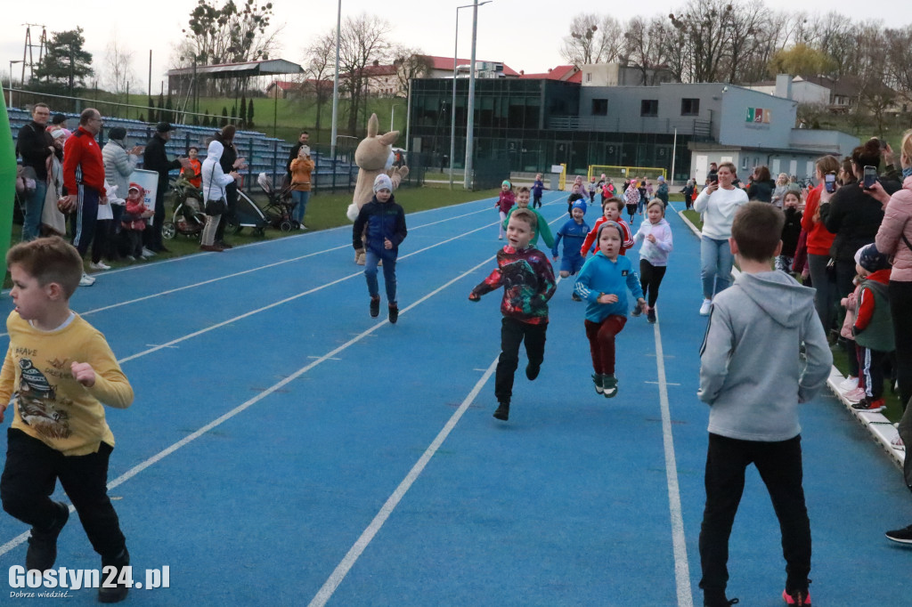 II Bieg Zająca na gostyńskim stadionie