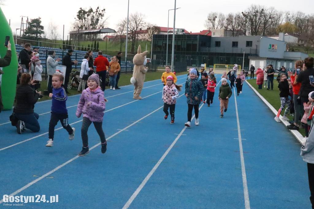 II Bieg Zająca na gostyńskim stadionie