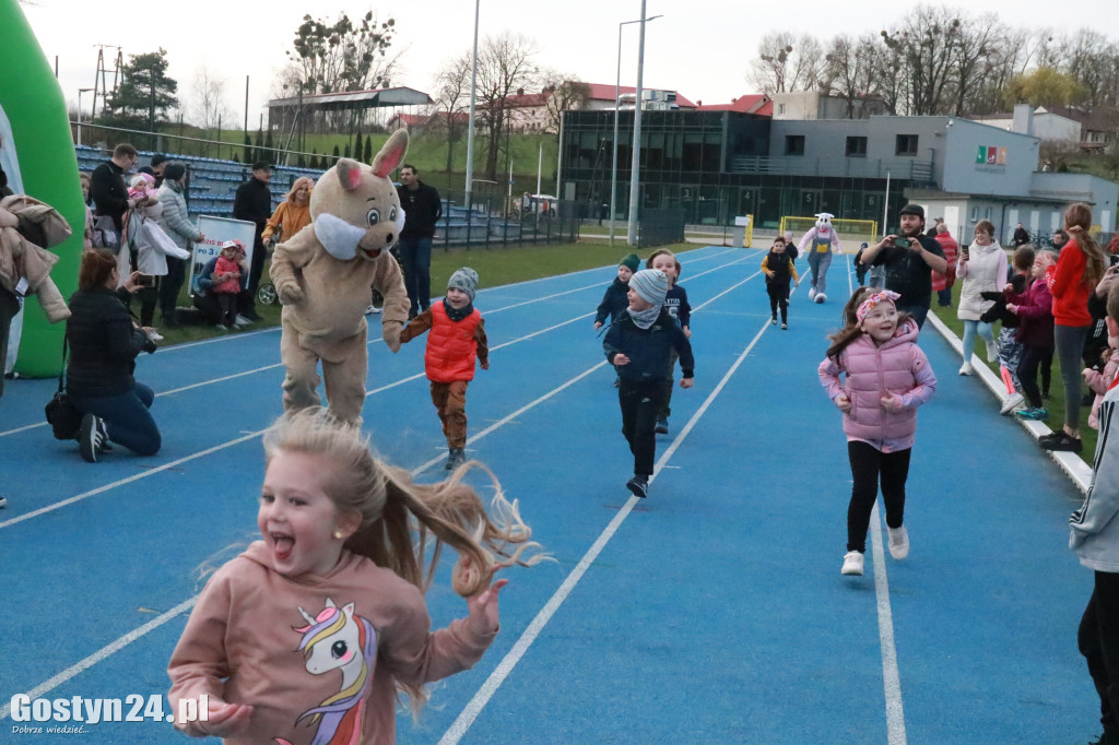 II Bieg Zająca na gostyńskim stadionie