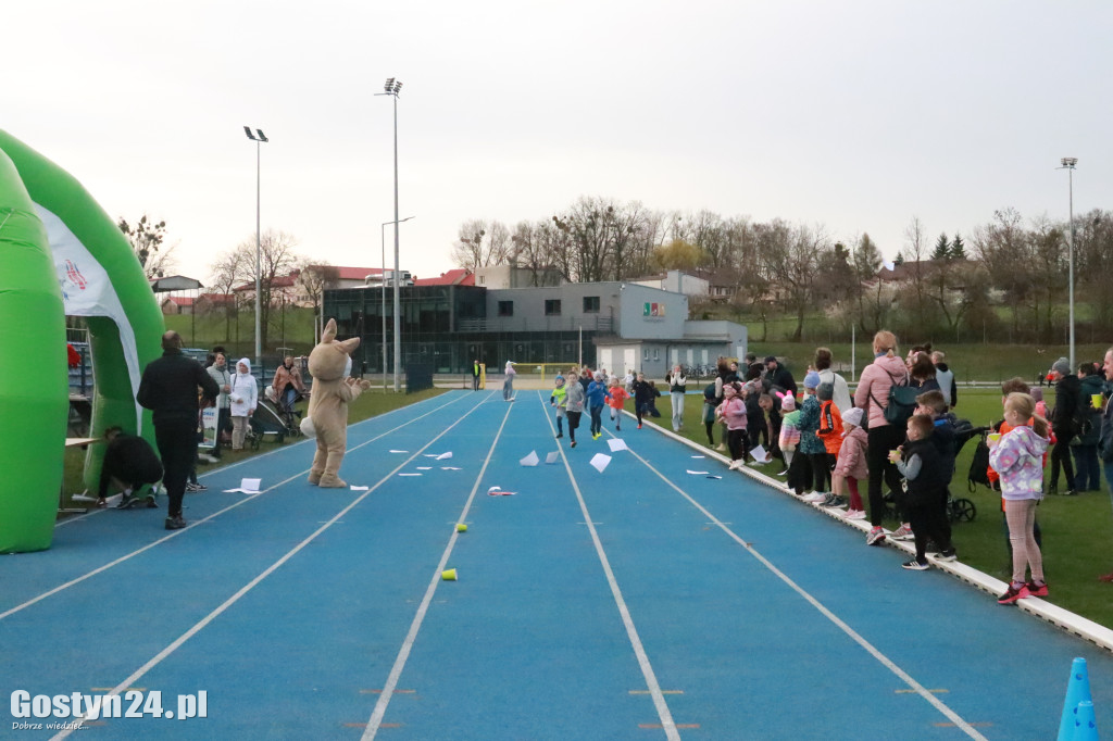 II Bieg Zająca na gostyńskim stadionie
