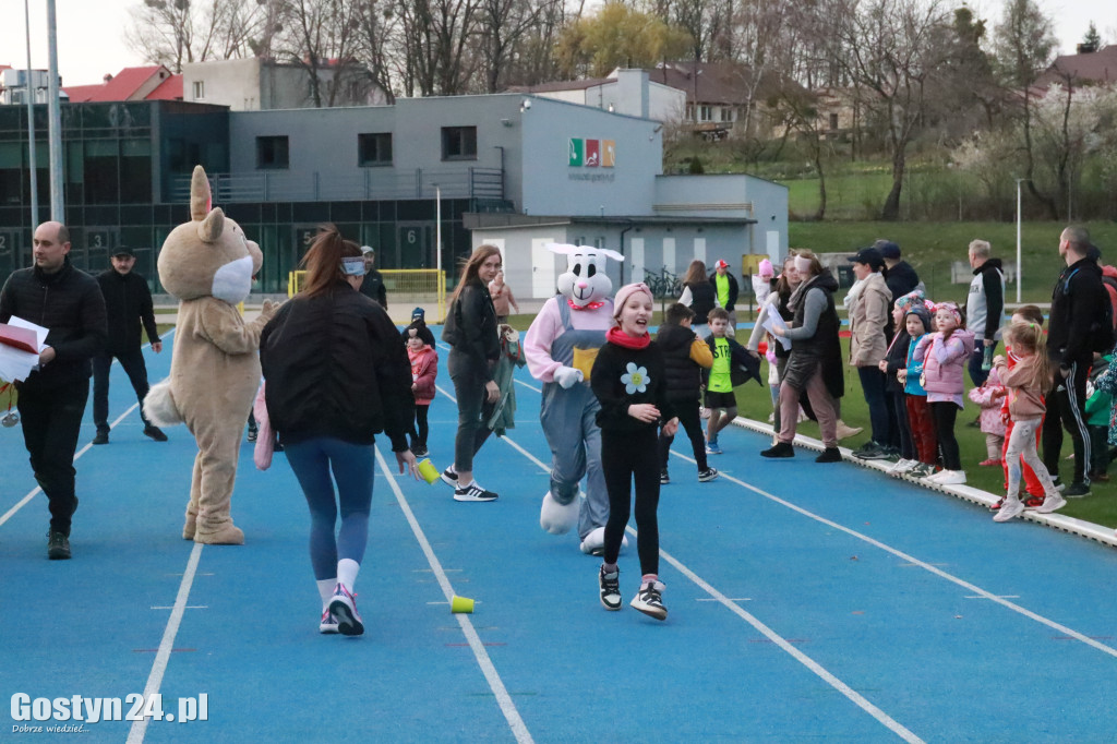 II Bieg Zająca na gostyńskim stadionie