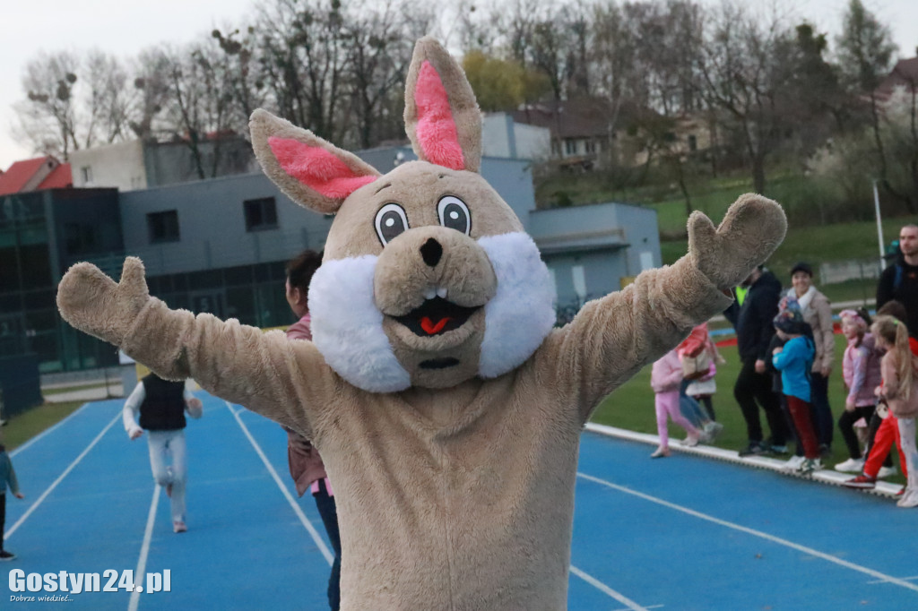 II Bieg Zająca na gostyńskim stadionie