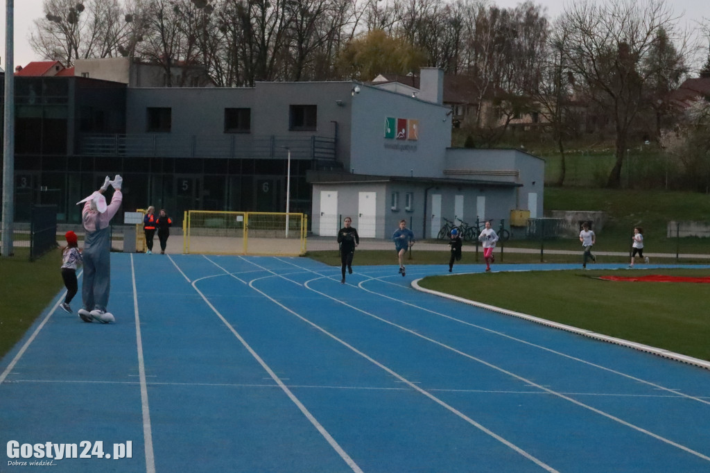 II Bieg Zająca na gostyńskim stadionie