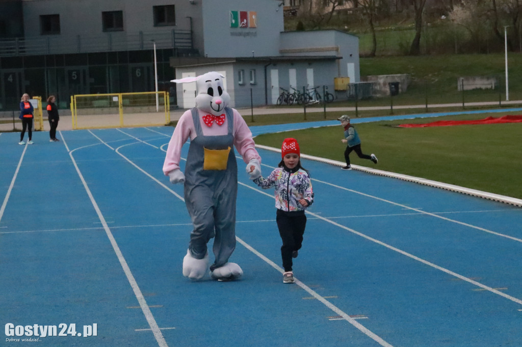 II Bieg Zająca na gostyńskim stadionie